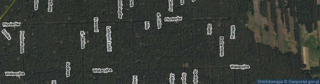 Zdjęcie satelitarne Aleja Cicha al.